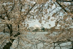 Jefferson Memorial